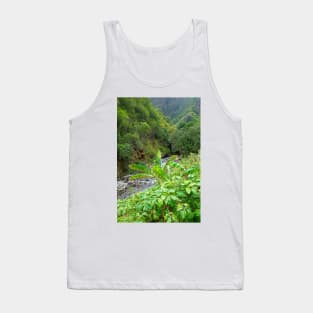 Iao Valley State Monument Study 10 Tank Top